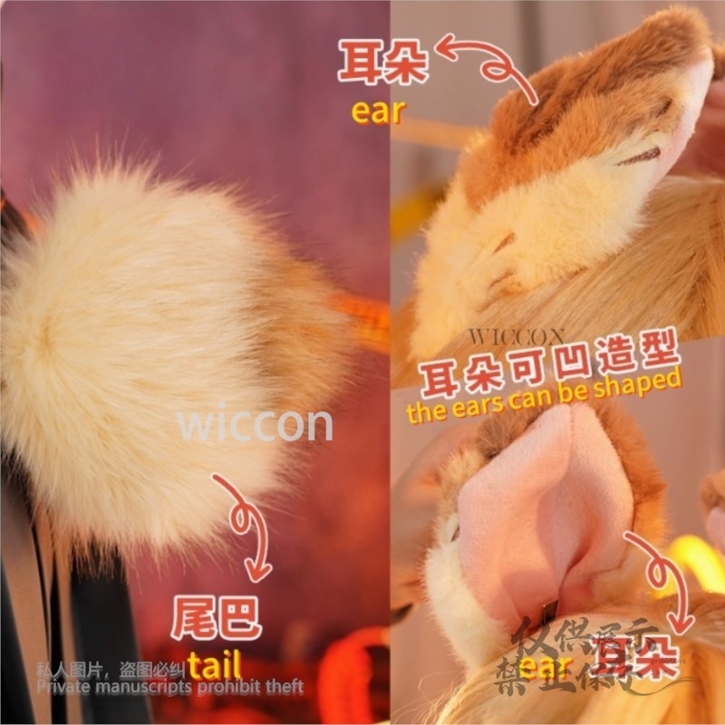 Alice High Quality Full Set Co - Anime Cosplay Zzz review and price