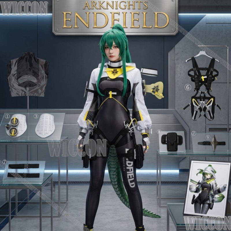 Arknights Endfield fluorite Co - Anime Cosplay Outfits Female review and price
