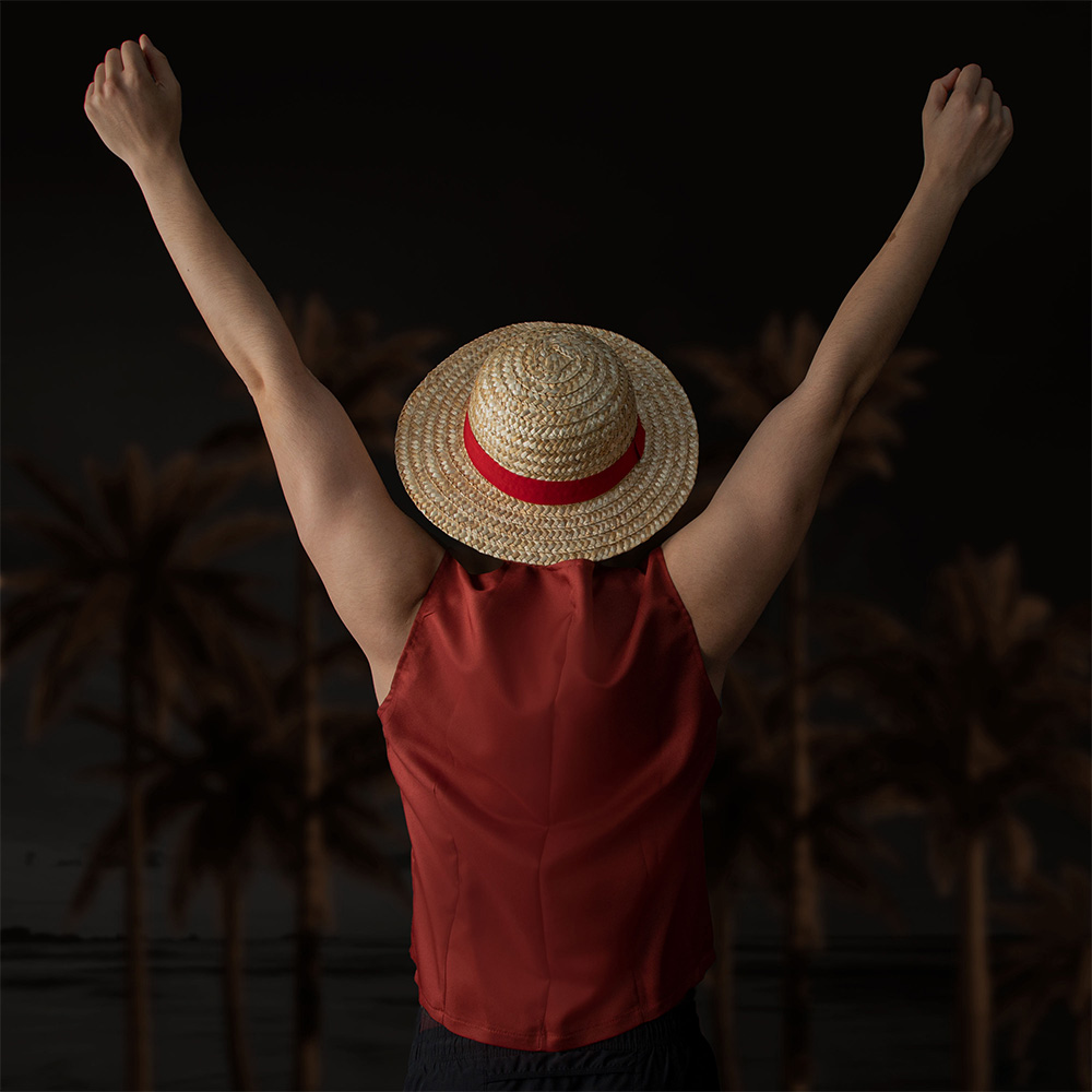 One Piece Officially Licensed  - Anime Cosplay Netflix review and price